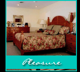 Pleasure